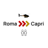 Private VIP Helicopter transfer | Rome - Capri  | 2 seats