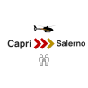 Private VIP Helicopter transfer | Capri - Salerno | 2 seats