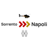 Private VIP Helicopter transfer | Sorrento - Naples | 2 seats
